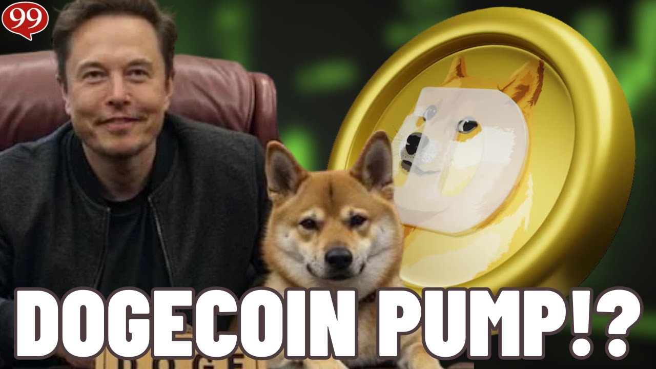 DOGECOIN IS AT A CRITICAL LEVEL!! BUY DOGE NOW?! DOGE PRICE PREDICTION