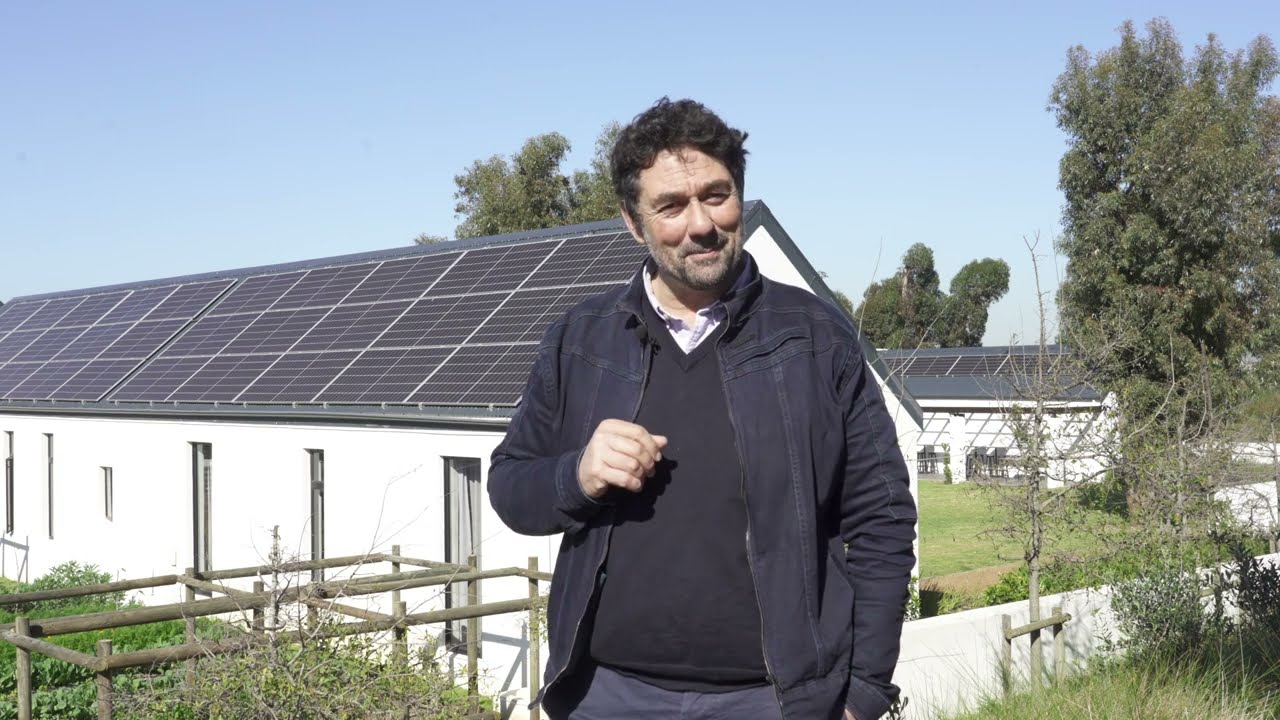 Sustainability takes root in Stellenbosch - Vergenoegd Löw case study