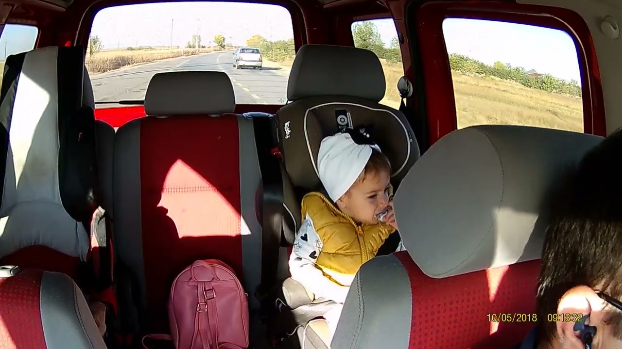 Ionel Nistor Vlog  #IonelNistorBlog #ApisInes #IonelNistor