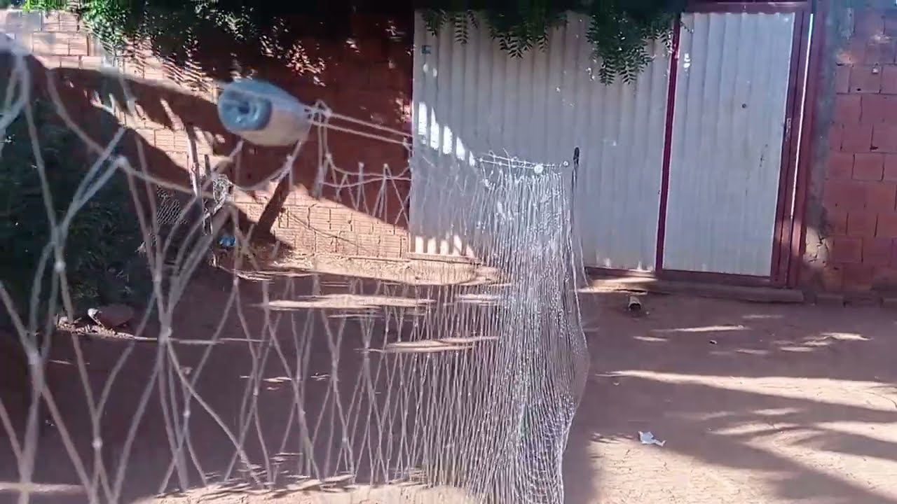 dica de entralho de rede