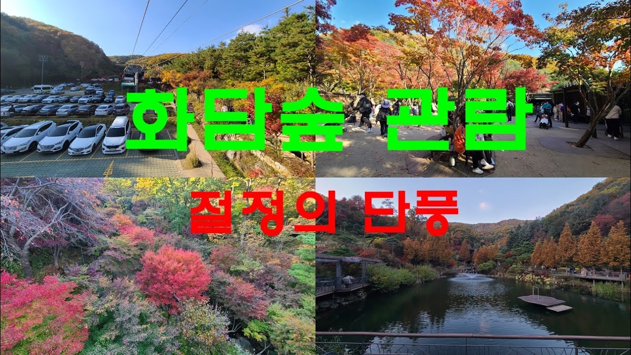 생태수목원 화담숲 관람 ㅣ경기도 광주 화담숲 ㅣ화담숲 단풍축제 ㅣ