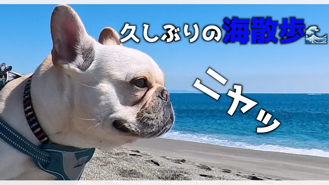 久しぶりの海でこの顔…
