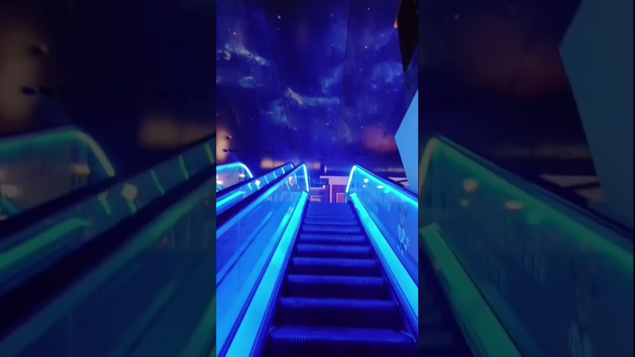Mall of Muscat | lulu | shark Aquarium 