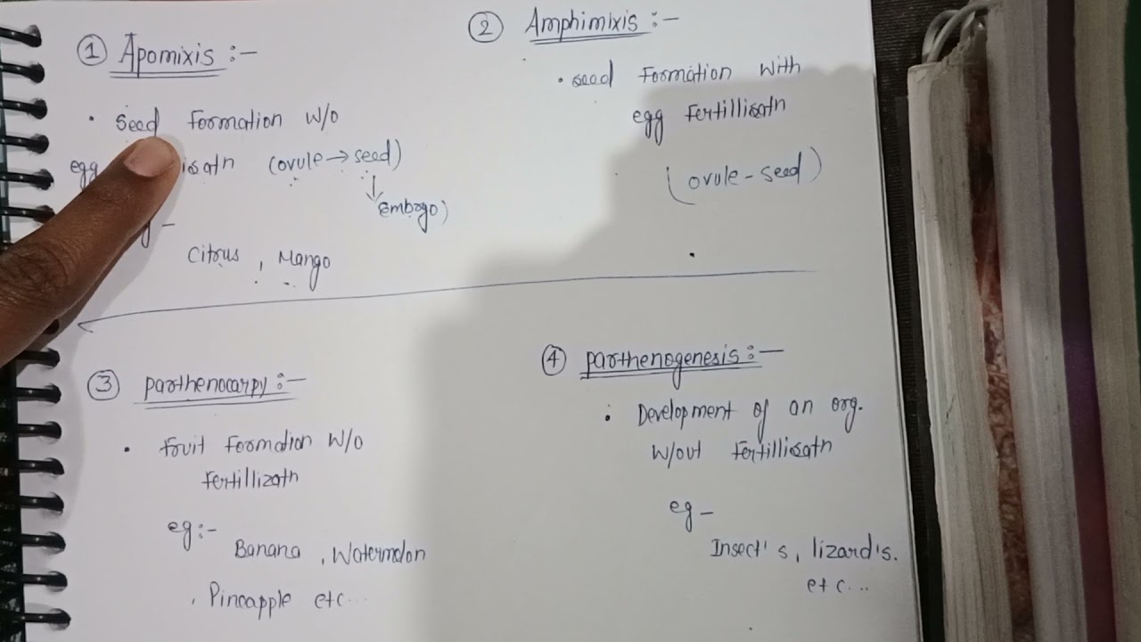 Different b/w apomixis , amphimixis, parthenocarpy or pathenogenesis ❤️