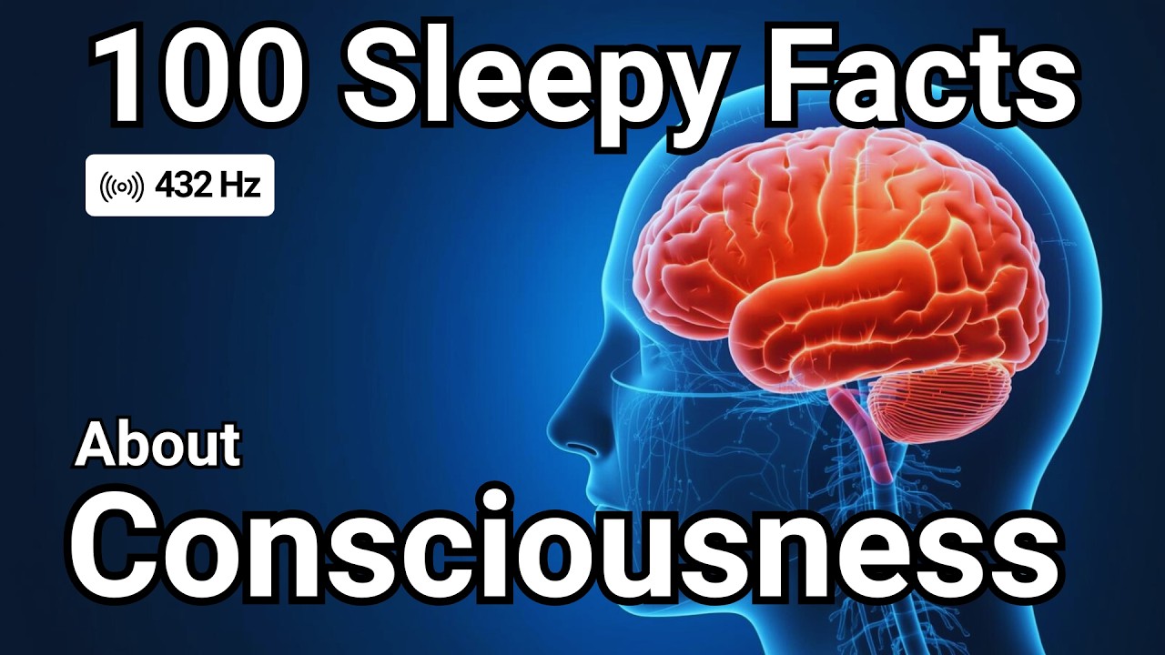 The Most Relaxing Psychology Facts About Consciousness to Fall Asleep To