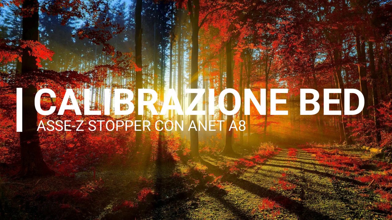ANET A8 - PRIMA CALIBRAZIONE VITI,BED E INIZIO STAMPA