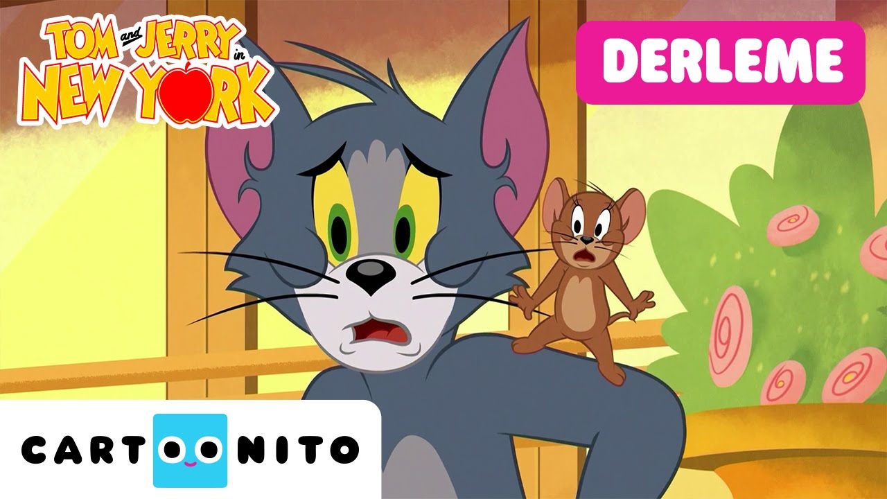TOM VE JERRY NEWYORK'TA | Yaramaz Kedi ve Fare | @CartoonitoTurkiye