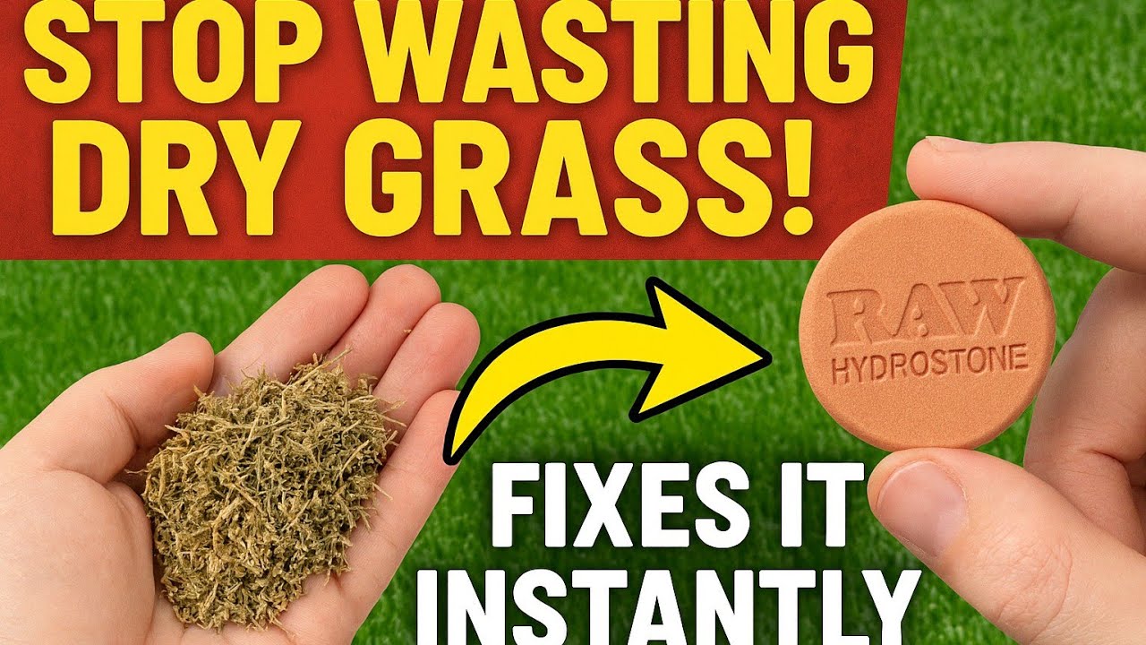 STOP Wasting Dry Weed! RAW Hydrostone Fixes It Instantly!