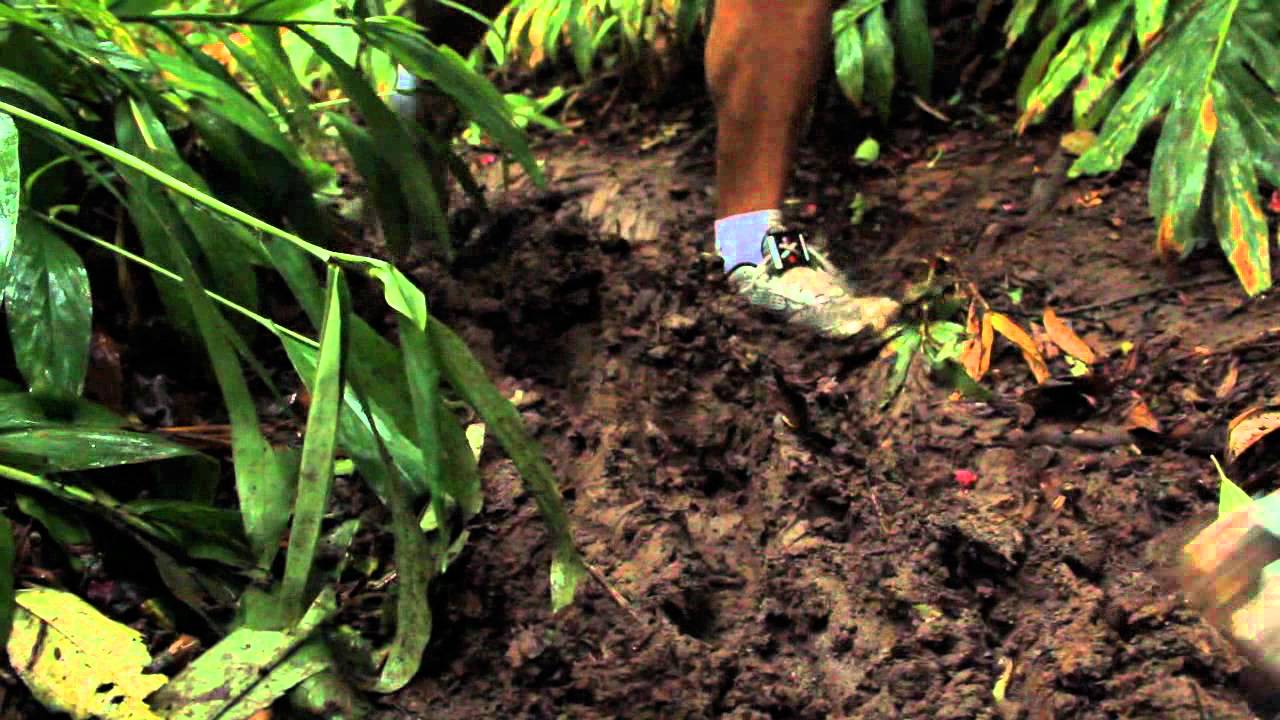 Corridas de Montanha - Paranapiacaba 2012