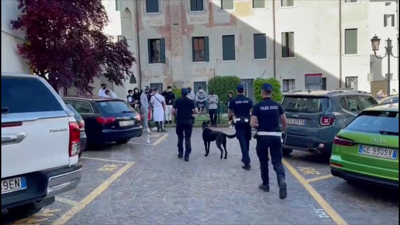 Polizia locale con le unità cinofile contro degrado, alcol e spaccio in centro a Treviso
