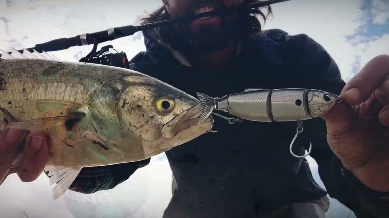 🔥 February on the Berg = GAME ON! Book now❗❗❗ Velddrift, Bergrivier, guided light tackle fishing❗❗❗