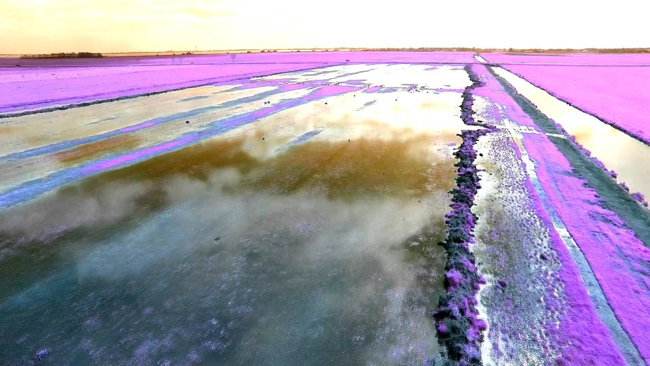 Vliegen boven Gaasterland