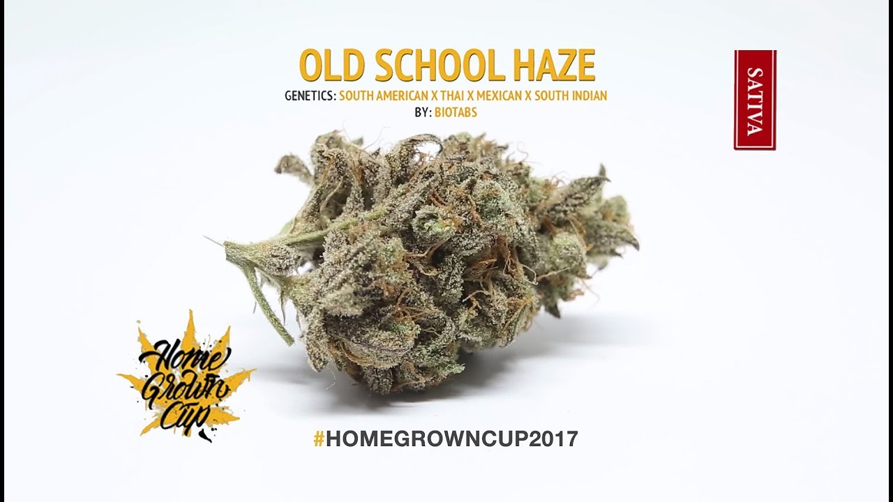 BioTabs entry at the Home Grown Cup 2017