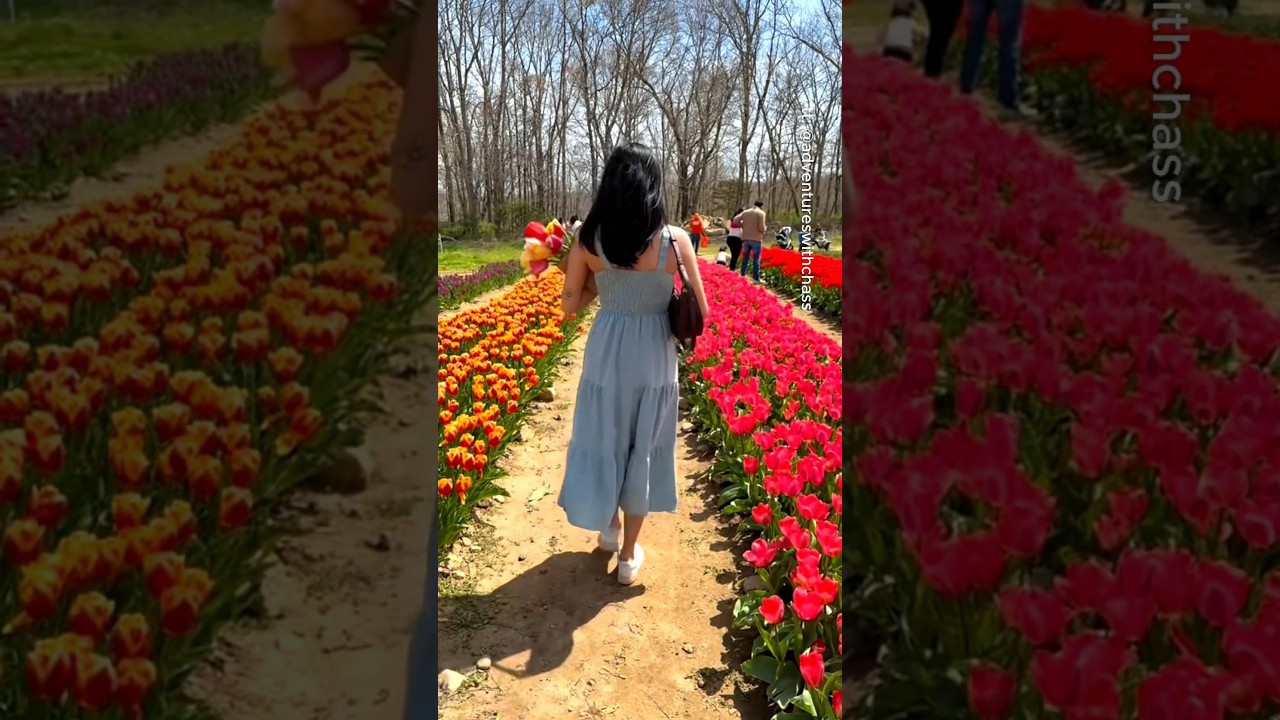 Most beautiful places in Connecticut 🇺🇸🤯 #travel #adventure #explore #nature #connecticut