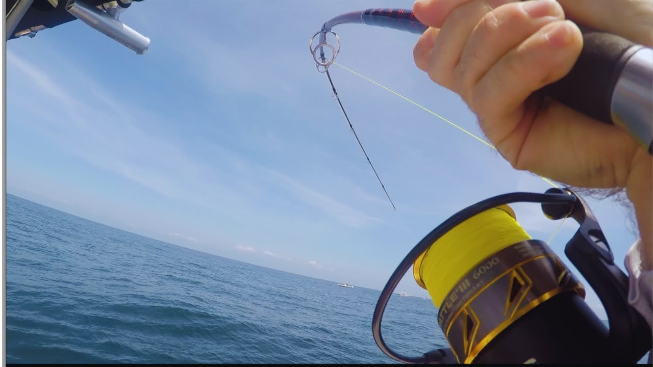 EDISTO ISLAND Nearshore/Offshore Fishing for WHATEVER Bites!!