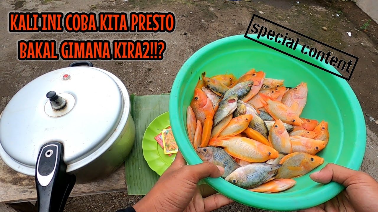 CATCH AND COOK‼️HASIL KALI INI KITA PRESTO SEPERTI APA KIRA2 HASILNYA ⁉️mancing ikan hama red devil