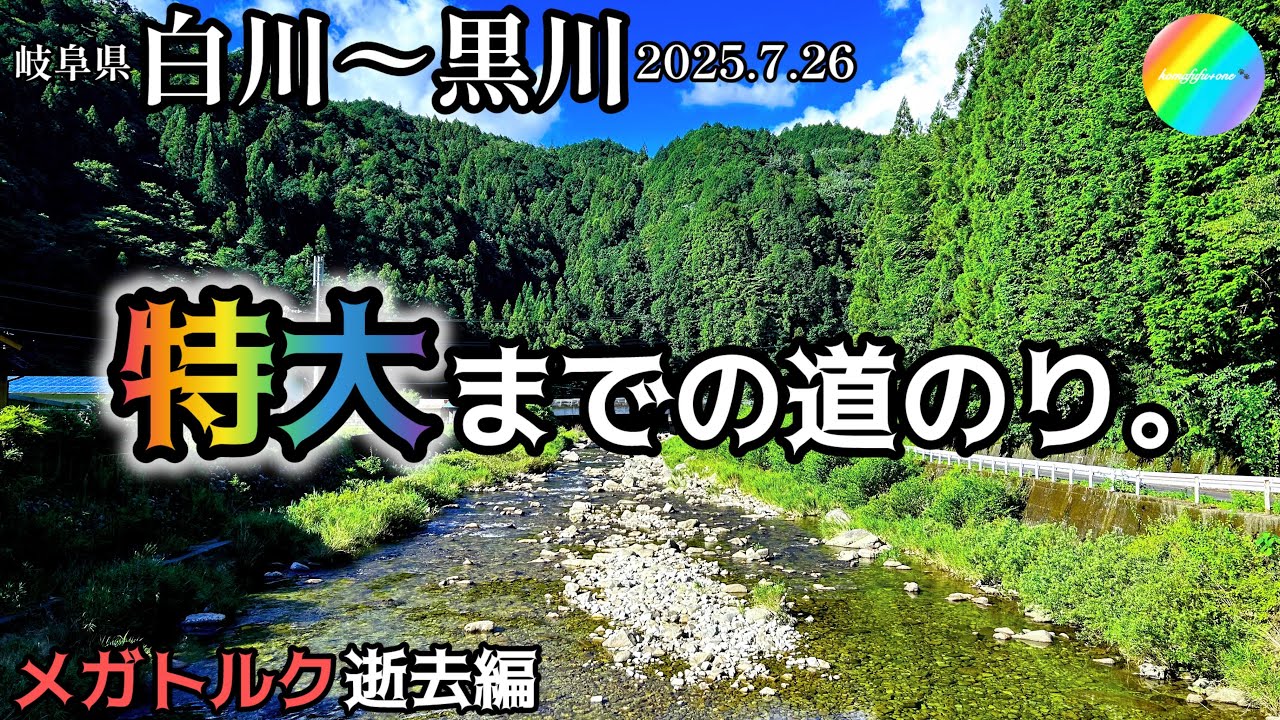 【鮎釣り2025】白川、黒川（岐阜県）｜7月26日（土）【友釣り】