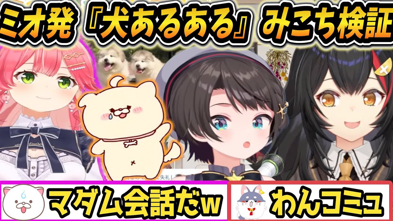 【 ミオ発『犬あるある』から始まるスバル証言とみこちの犬飼いコミュニケーション実録! 】【 #朝ミオ 】２月だよ～！おはみぉーん！【 ホロライブ/大神ミオ/さくらみこ/大空スバル 】【#生スバル】