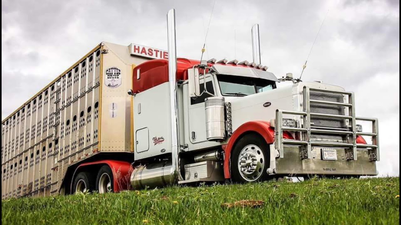 ROLLIN HEAVYWEIGHTS, BULL HAULER LEFT LANE