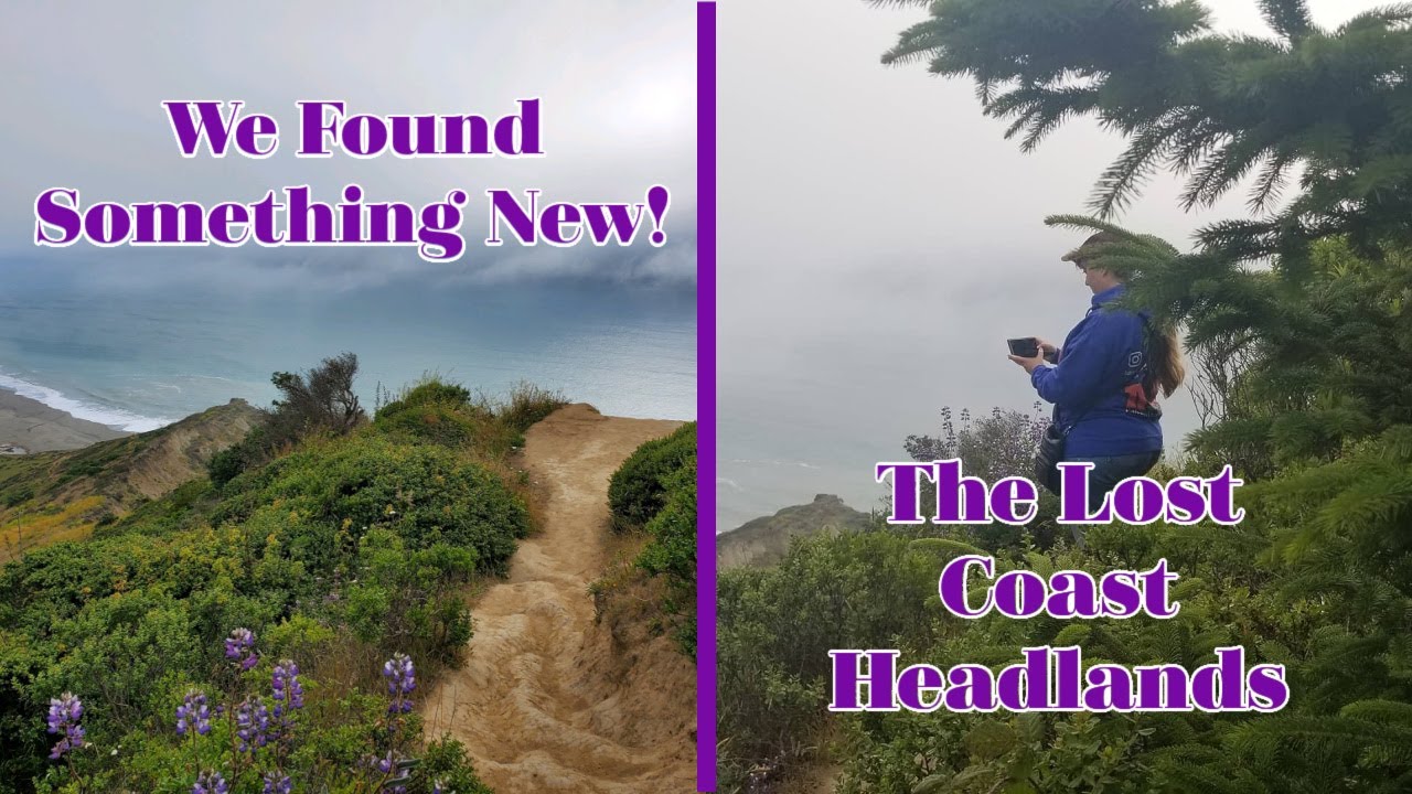 Discovering New Places In Ferndale, Ca