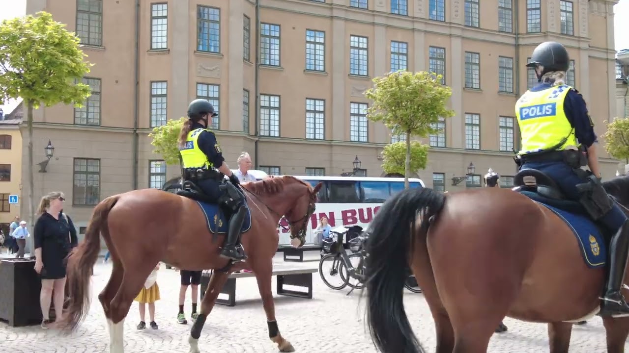 Changing of the guard Stockholm