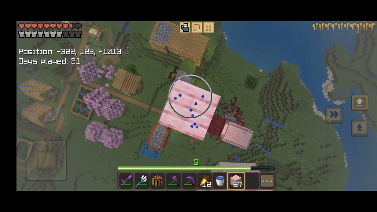 Minecraft challenge day 12 