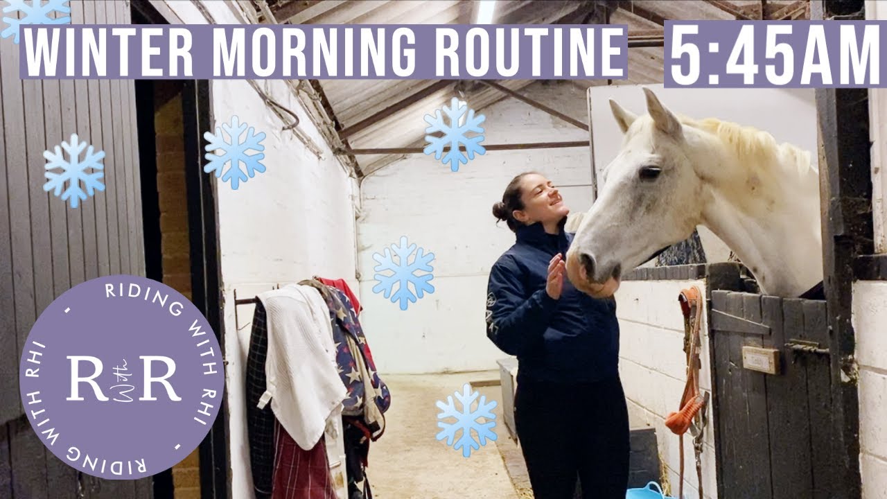 Autumn/Winter Morning Routine of an Equestrian 2020 (6am Start!) | British Equestrian YouTuber