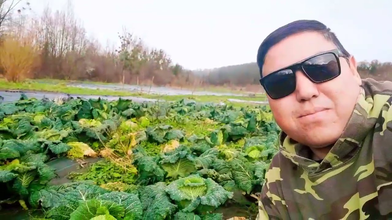۲۲ فوریهٔ ۲۰۲۶