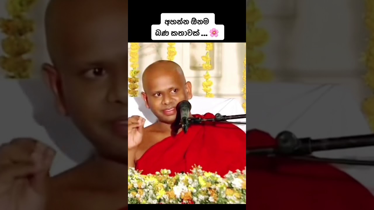 දහාම් කරුණු 🙏🙏