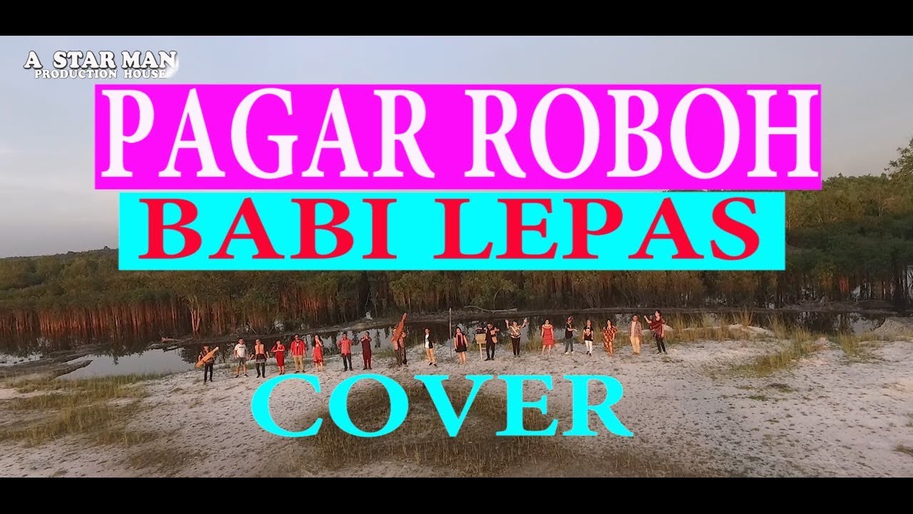 PAGAR ROBOH BABI LEPAS (COVER) LAGU DAYAK KETAPANG-SANGGAU