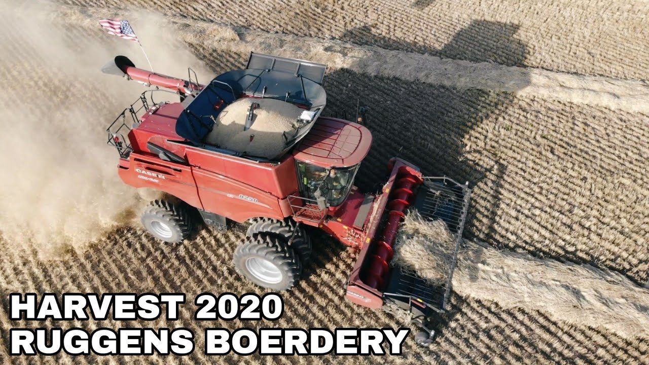 2020 Harvest in South Africa, Ruggens Boerdery