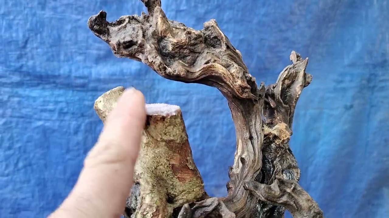 M235 phôi sam hương ninh Thuận lũa thép 150k lh 0784005295 khiêm