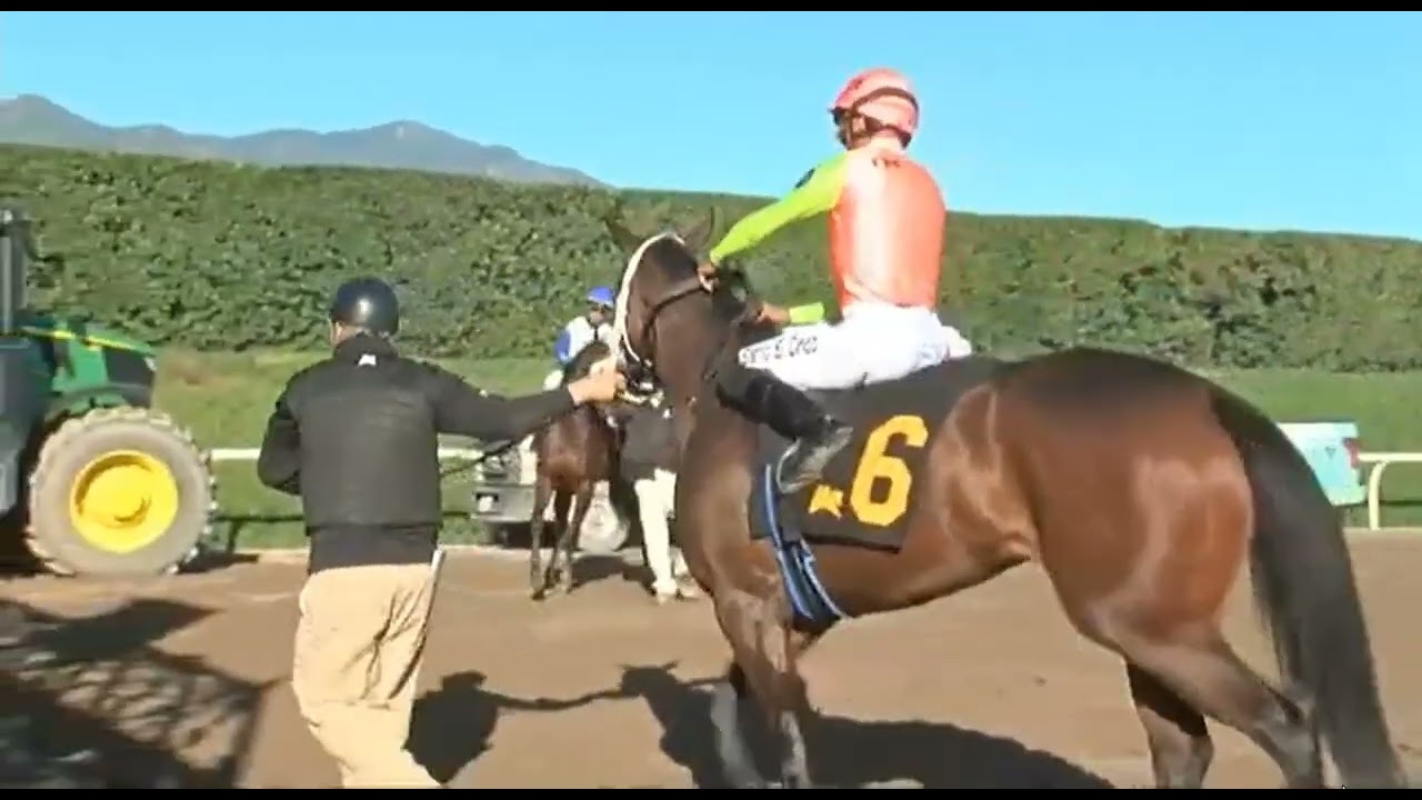 R7 SANTA ANITA 09 JAN 2025