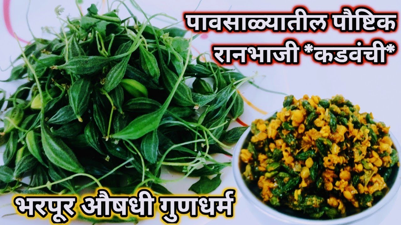 डोळे , मधुमेह यावर गुणकारी,औषधी कडवंची ची रानभाजी/kadvanchi bhaji/kadwanchi /कडवंची भाजी