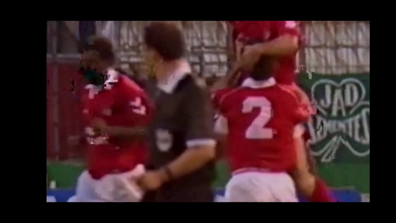 Manuel Fúria - Não Se Explica O Benfica!