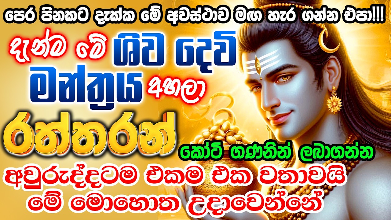 මාරම පුදුම මන්ත්&zwj;රයක් මේක මම ඉල්ලපු හැමදේම මට තත්පරයෙන් ලැබුනා 🌷🤑🙏 Shiva money mantra | shiv mantra