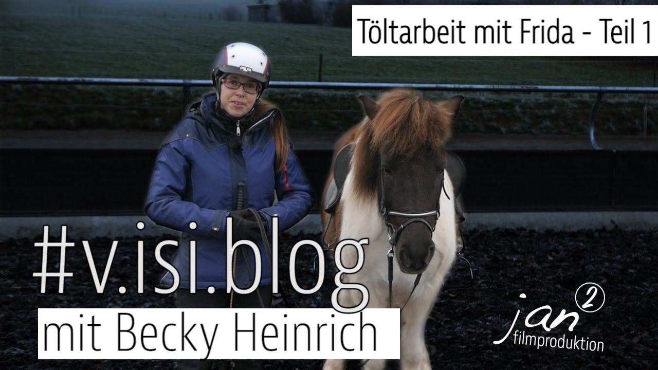 training mit islandpferden #v.isi.blog - folge 1 | töltarbeit mit frida | teil 1
