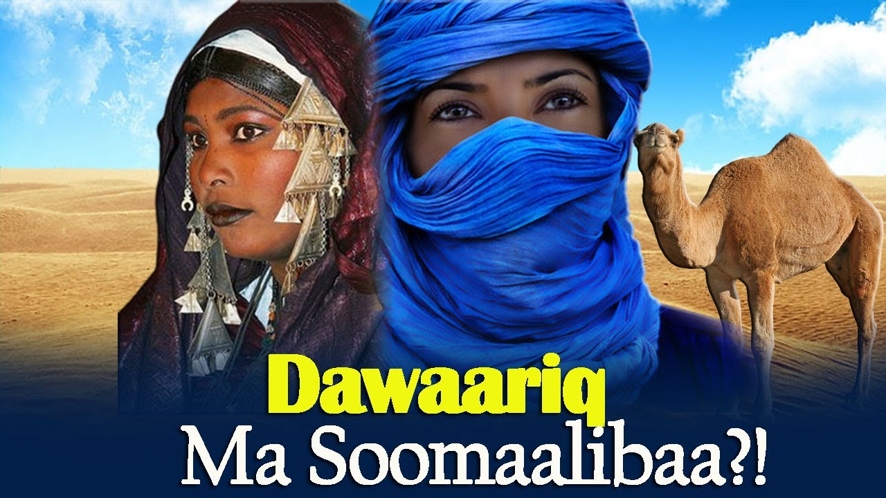 10 xaqiiqo iyo shucuubta DAWAARIQ | Dawaariqdu ma Soomaalibaa? xogo layaab leh oo aanad hore  maqal