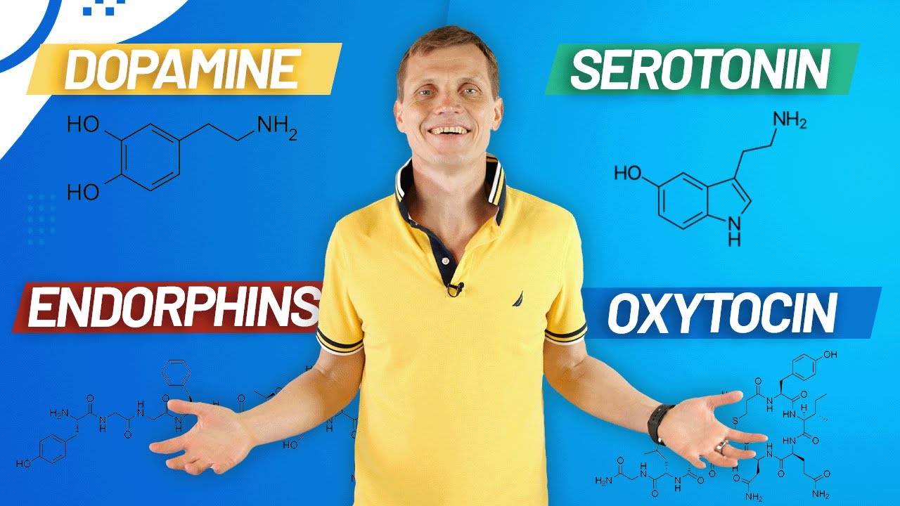 How to Boost Your 4 Happy Hormones &ndash; Dopamine, Serotonin, Endorphins & Oxytocin