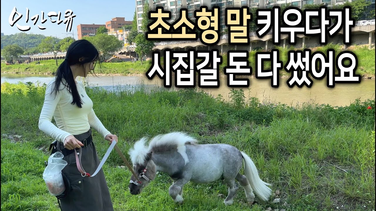 세계에서 가장 작은 말을 키우는 미모의 여성 [인간다큐]