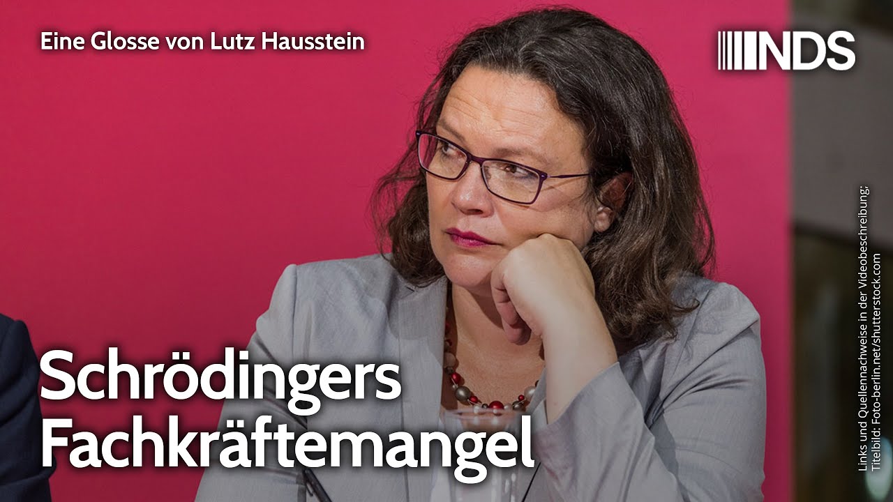 Schr&ouml;dingers Fachkr&auml;ftemangel | Lutz Hausstein | NDS-Podcast