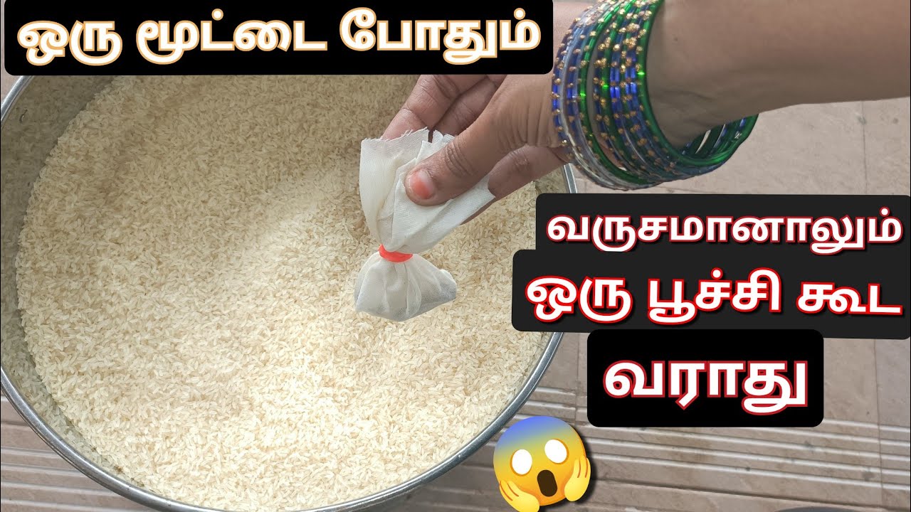 அரிசியில் வண்டு,பூச்சி வராமல் இருக்க 5 சூப்பர் டிப்ஸ்😱/Kitchen tips in tamil/home tips/@puthumaisama