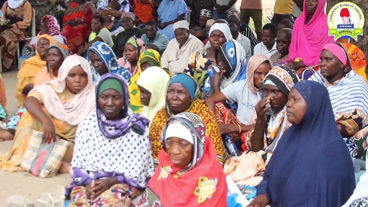 RC Pwani, azindua zoezi la ugawaji wa miche ya korosho.