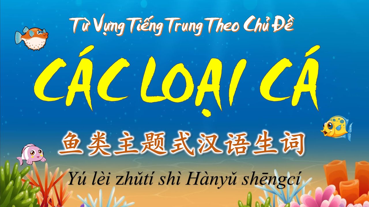 Học Tiếng Trung Theo Chủ Đề | Các Loại Cá | HVTG
