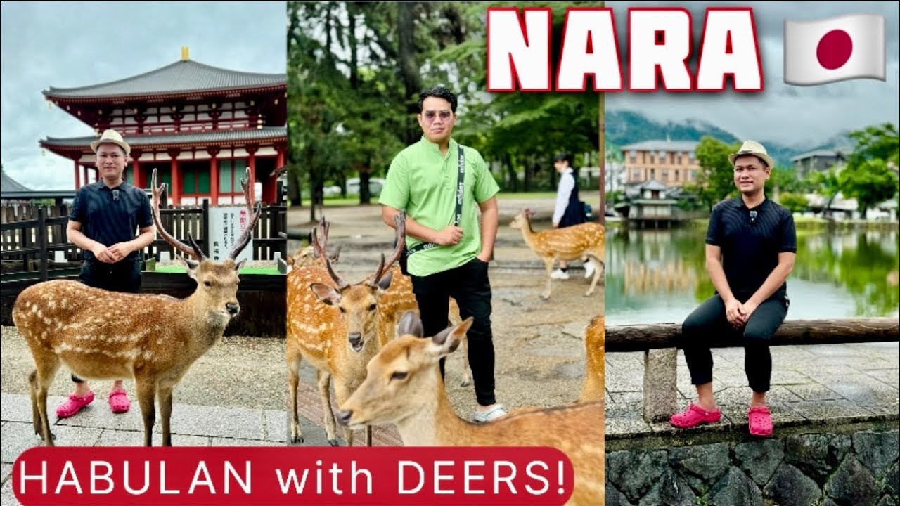 GANDA pala sa NARA! 🇯🇵
