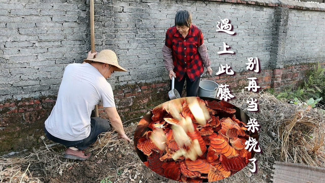 以后遇到这种藤别拿来当柴烧了，这一个吃法真的很好，常吃气色好
