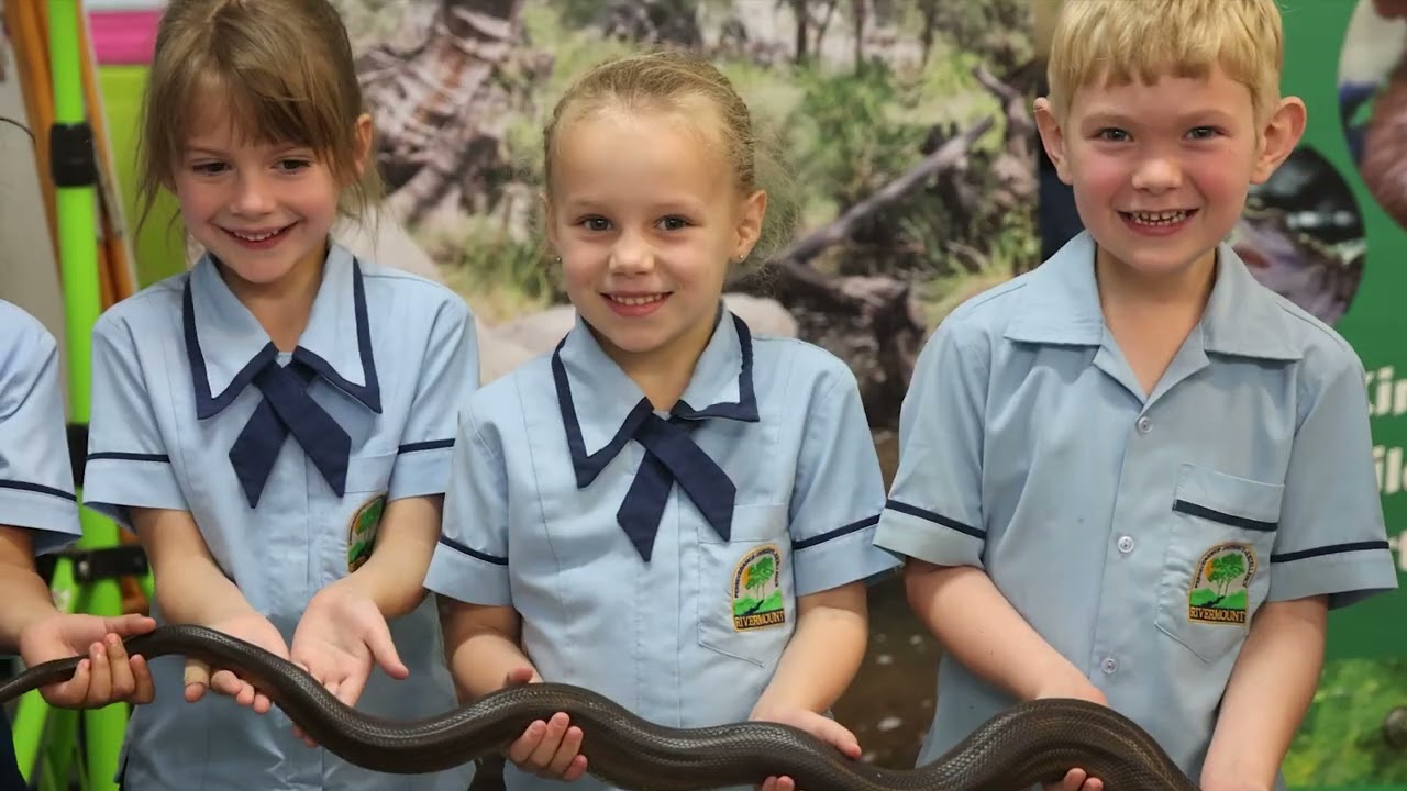 Term 3 Highlights | 2025
