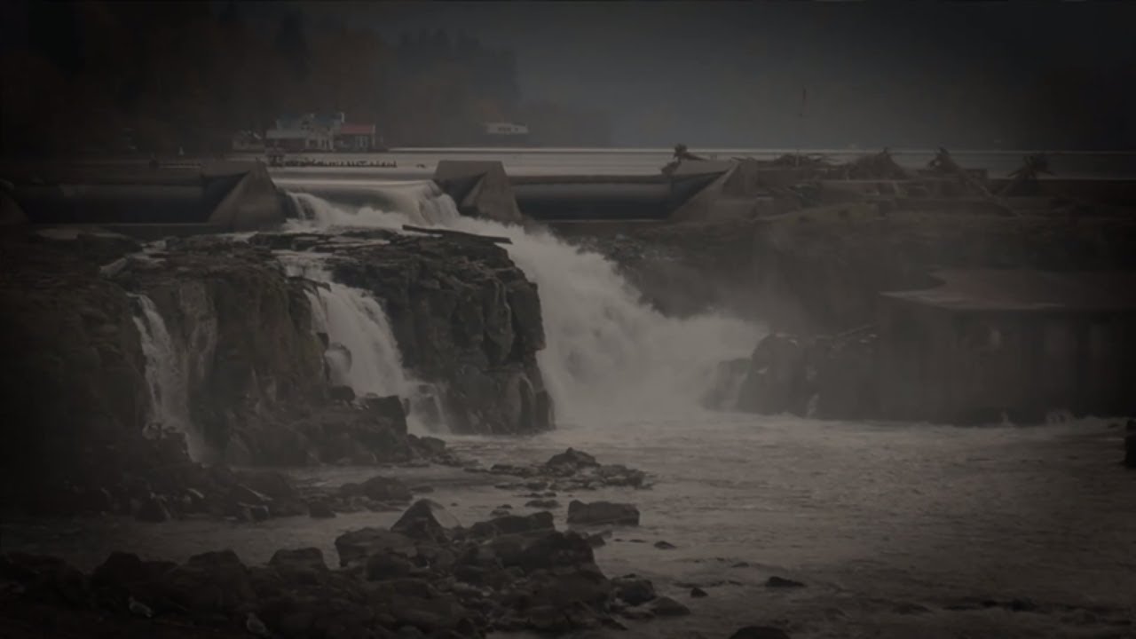 Stories of Willamette Falls: Dede Montgomery