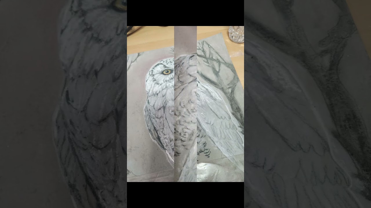Visual Meditation | Athena and the Owl 