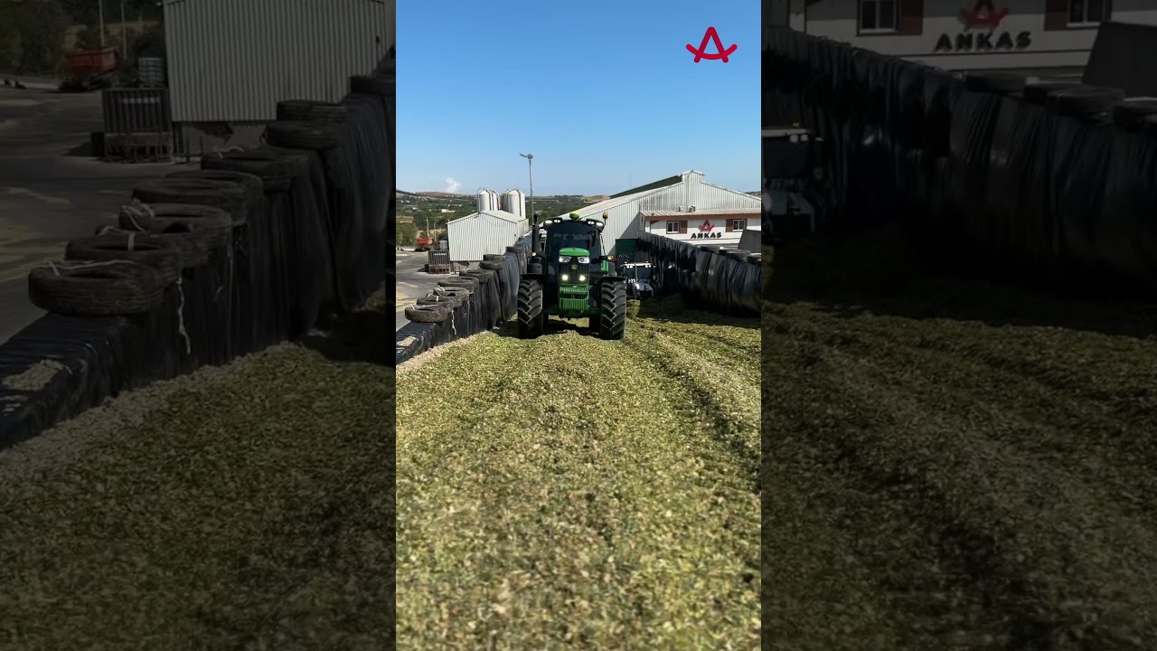 Silaj Nasıl Hazırlanır?🌱🚜
